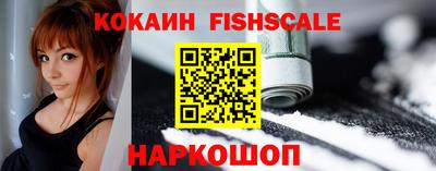 шишки Тара