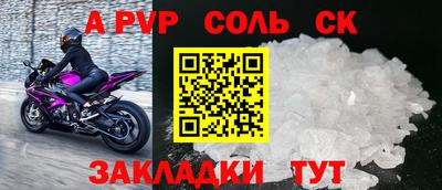 шишки Тара