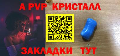 шишки Тара