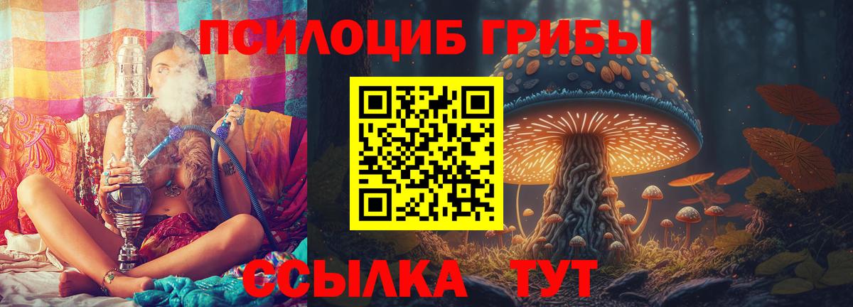Галлюциногенные грибы прущие грибы Нефтеюганск
